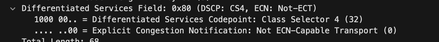 DSCP details in Wireshark Packet Capture